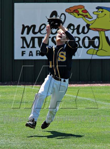 Thumbnail 1 in Seymour @ Farragut photogallery.