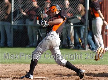 Thumbnail 2 in Shelton @ Sheehan photogallery.