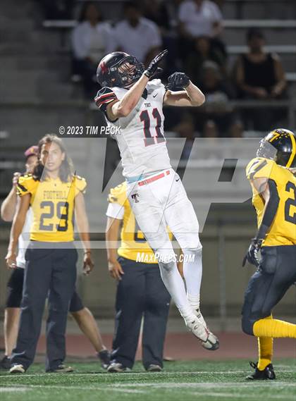 Thumbnail 3 in Troy @ Foothill photogallery.