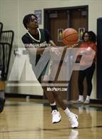 Photo from the gallery "Stratford @ Cypress Falls"