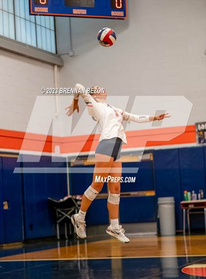 Thumbnail 2 in Williamson @ Attica (Section V Class C1 Quarterfinal) photogallery.