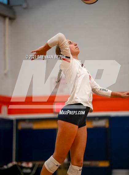 Thumbnail 1 in Williamson @ Attica (Section V Class C1 Quarterfinal) photogallery.