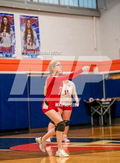 Thumbnail 3 in Williamson @ Attica (Section V Class C1 Quarterfinal) photogallery.