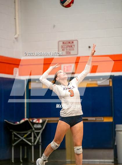 Thumbnail 3 in Williamson @ Attica (Section V Class C1 Quarterfinal) photogallery.
