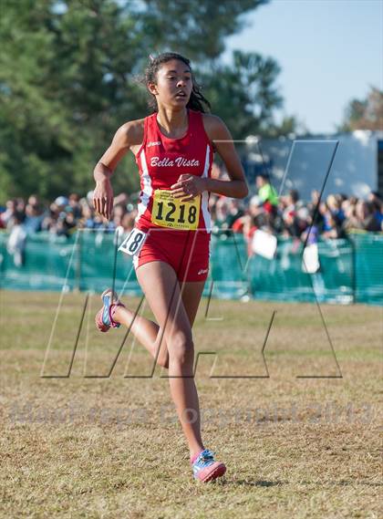 Thumbnail 1 in CIF State Cross Country Championships (Girls D2) photogallery.