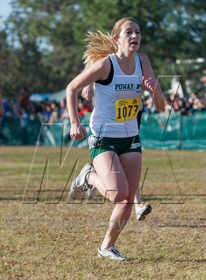 Thumbnail 2 in CIF State Cross Country Championships (Girls D2) photogallery.