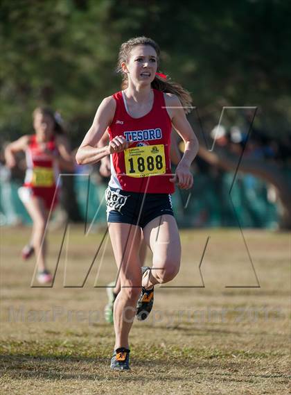 Thumbnail 3 in CIF State Cross Country Championships (Girls D2) photogallery.