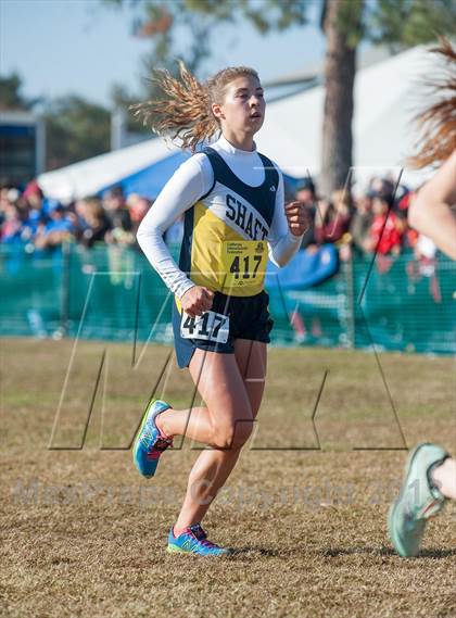 Thumbnail 2 in CIF State Cross Country Championships (Girls D2) photogallery.