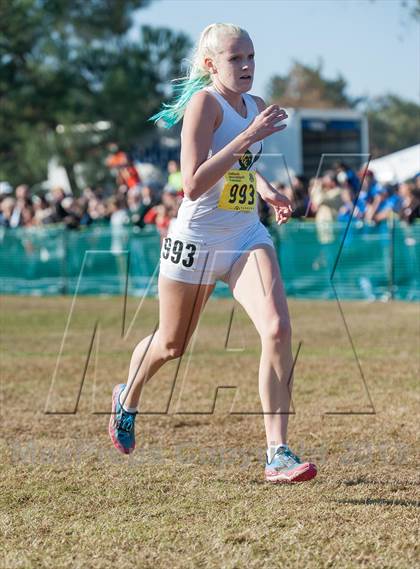 Thumbnail 3 in CIF State Cross Country Championships (Girls D2) photogallery.
