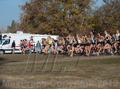 Thumbnail 2 in CIF State Cross Country Championships (Girls D2) photogallery.