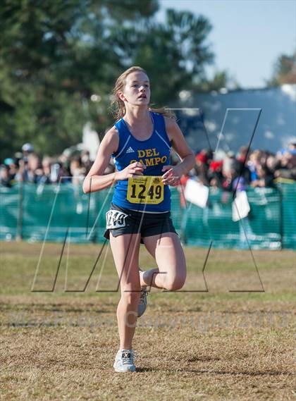 Thumbnail 3 in CIF State Cross Country Championships (Girls D2) photogallery.