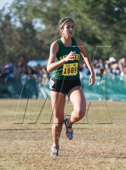 Thumbnail 3 in CIF State Cross Country Championships (Girls D2) photogallery.