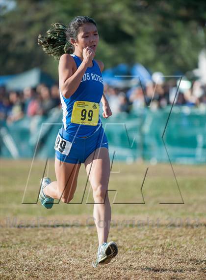 Thumbnail 2 in CIF State Cross Country Championships (Girls D2) photogallery.