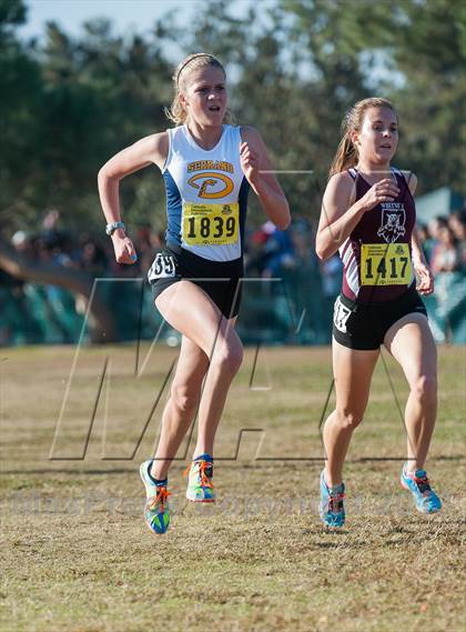 Thumbnail 1 in CIF State Cross Country Championships (Girls D2) photogallery.