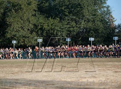 Thumbnail 1 in CIF State Cross Country Championships (Girls D2) photogallery.