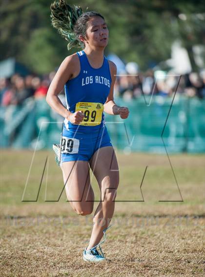 Thumbnail 3 in CIF State Cross Country Championships (Girls D2) photogallery.