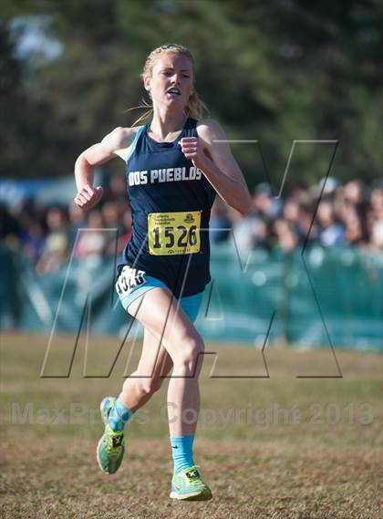 Thumbnail 2 in CIF State Cross Country Championships (Girls D2) photogallery.