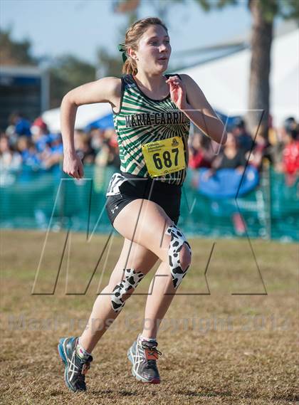 Thumbnail 2 in CIF State Cross Country Championships (Girls D2) photogallery.