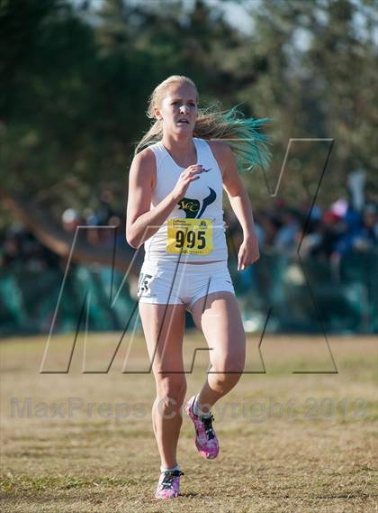 Thumbnail 2 in CIF State Cross Country Championships (Girls D2) photogallery.