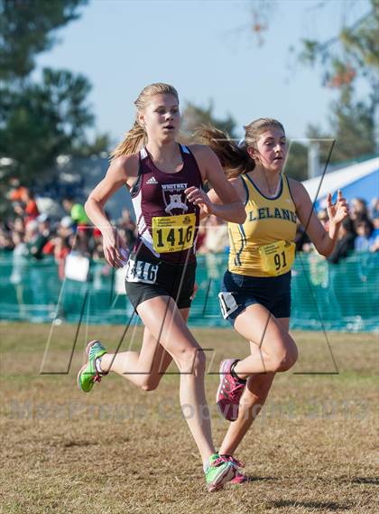 Thumbnail 3 in CIF State Cross Country Championships (Girls D2) photogallery.
