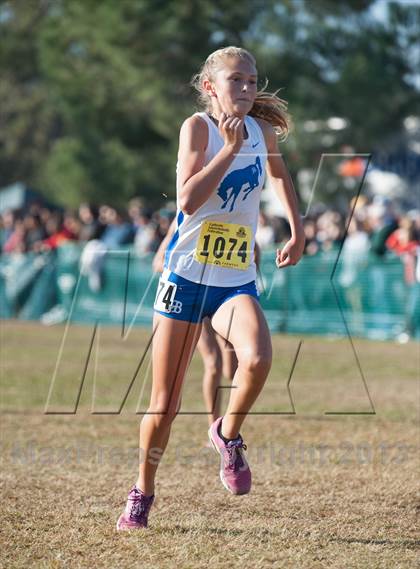 Thumbnail 3 in CIF State Cross Country Championships (Girls D2) photogallery.
