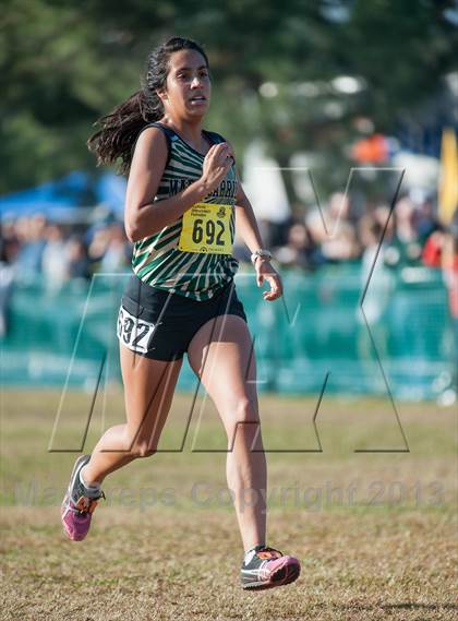 Thumbnail 1 in CIF State Cross Country Championships (Girls D2) photogallery.