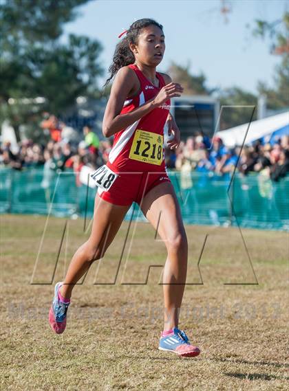Thumbnail 2 in CIF State Cross Country Championships (Girls D2) photogallery.