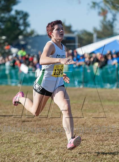 Thumbnail 3 in CIF State Cross Country Championships (Girls D2) photogallery.