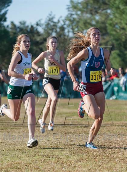 Thumbnail 1 in CIF State Cross Country Championships (Girls D2) photogallery.