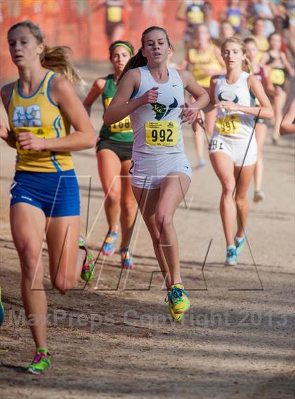 Thumbnail 1 in CIF State Cross Country Championships (Girls D2) photogallery.