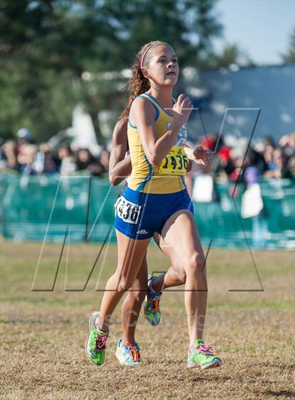 Thumbnail 2 in CIF State Cross Country Championships (Girls D2) photogallery.