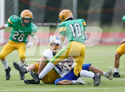 Thumbnail 1 in Rochester @ Tumwater photogallery.