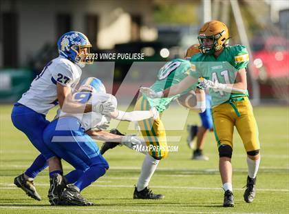 Thumbnail 2 in Rochester @ Tumwater photogallery.
