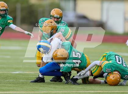 Thumbnail 1 in Rochester @ Tumwater photogallery.