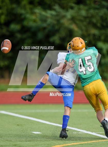 Thumbnail 1 in Rochester @ Tumwater photogallery.