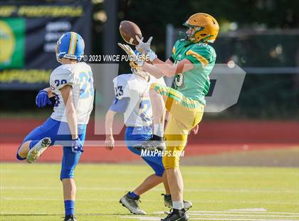 Thumbnail 1 in Rochester @ Tumwater photogallery.
