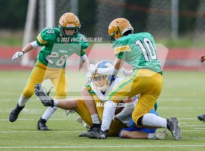 Thumbnail 2 in Rochester @ Tumwater photogallery.