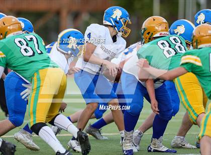 Thumbnail 1 in Rochester @ Tumwater photogallery.