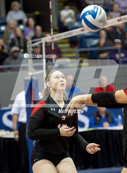 Thumbnail 2 in Forest Park vs. Leland (MHSAA Division 4 Semifinal) photogallery.