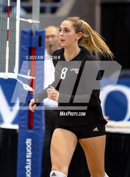 Thumbnail 2 in Forest Park vs. Leland (MHSAA Division 4 Semifinal) photogallery.