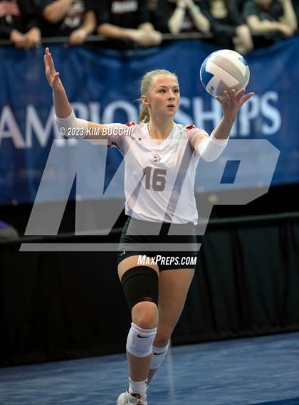Thumbnail 3 in Forest Park vs. Leland (MHSAA Division 4 Semifinal) photogallery.