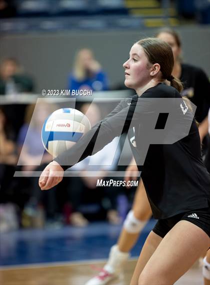 Thumbnail 1 in Forest Park vs. Leland (MHSAA Division 4 Semifinal) photogallery.