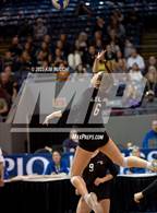 Photo from the gallery "Forest Park vs. Leland (MHSAA Division 4 Semifinal)"