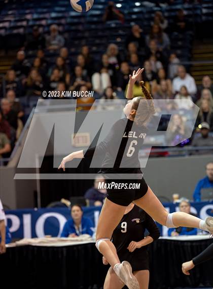 Thumbnail 1 in Forest Park vs. Leland (MHSAA Division 4 Semifinal) photogallery.