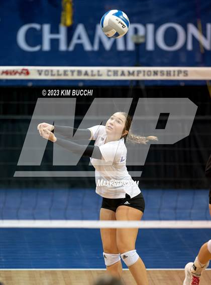 Thumbnail 3 in Forest Park vs. Leland (MHSAA Division 4 Semifinal) photogallery.