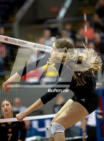 Thumbnail 3 in Forest Park vs. Leland (MHSAA Division 4 Semifinal) photogallery.