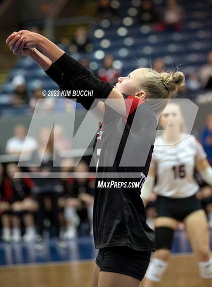 Thumbnail 1 in Forest Park vs. Leland (MHSAA Division 4 Semifinal) photogallery.
