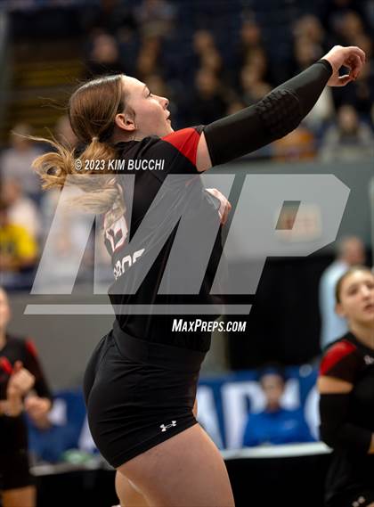 Thumbnail 2 in Forest Park vs. Leland (MHSAA Division 4 Semifinal) photogallery.
