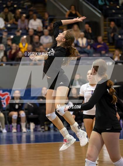 Thumbnail 2 in Forest Park vs. Leland (MHSAA Division 4 Semifinal) photogallery.