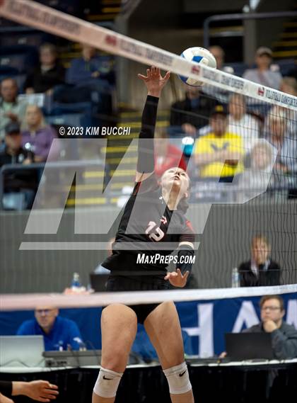 Thumbnail 3 in Forest Park vs. Leland (MHSAA Division 4 Semifinal) photogallery.